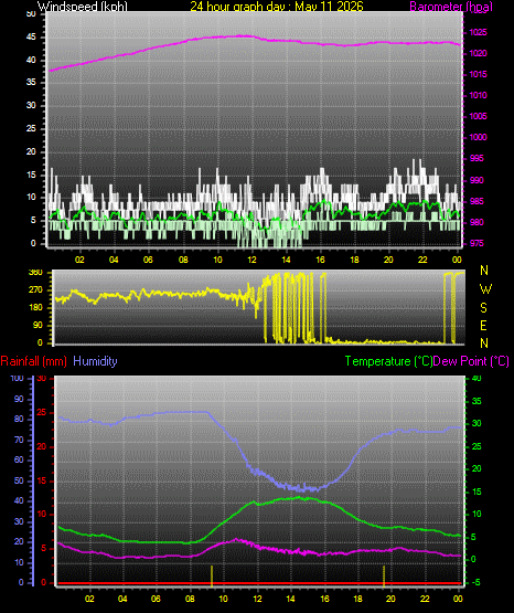 24 Hour Graph for Day 11